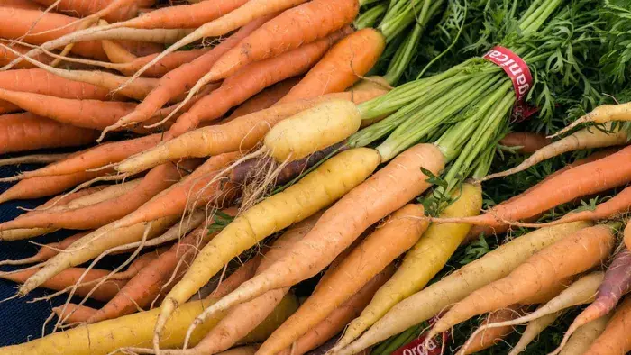 Bundles of carrots