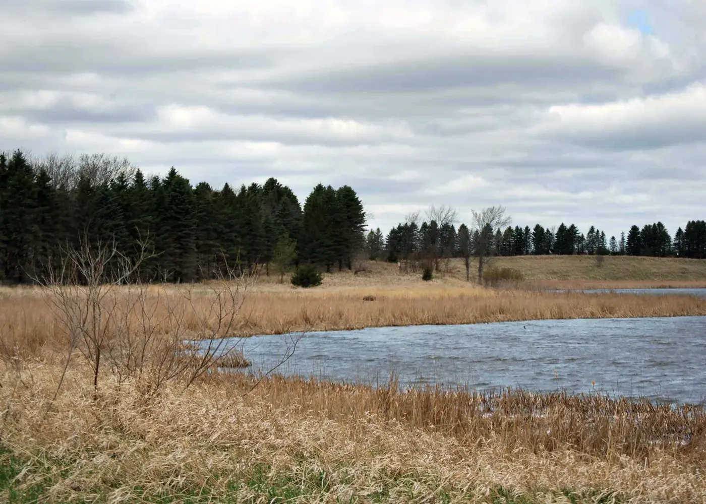 A pond outdoors in winter