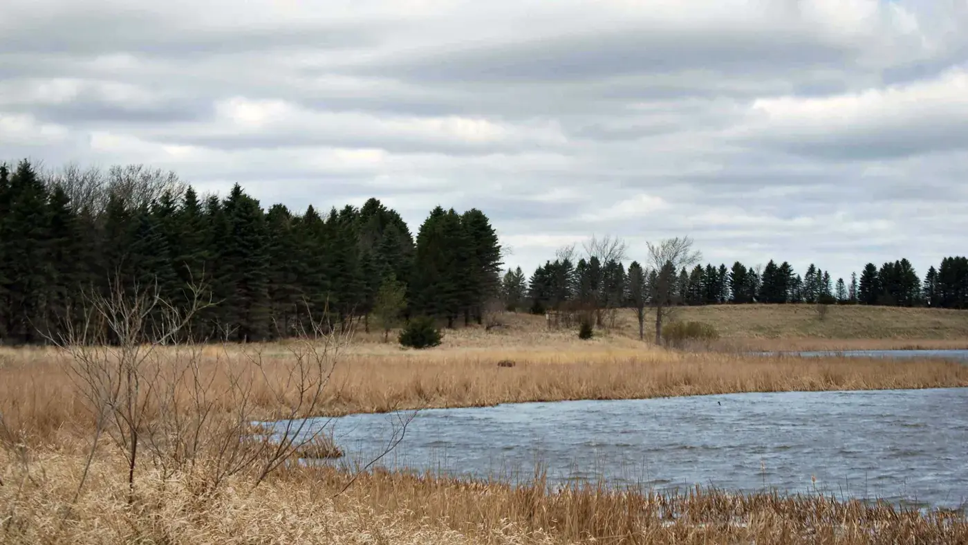 Conservation Reserve Program (CRP)