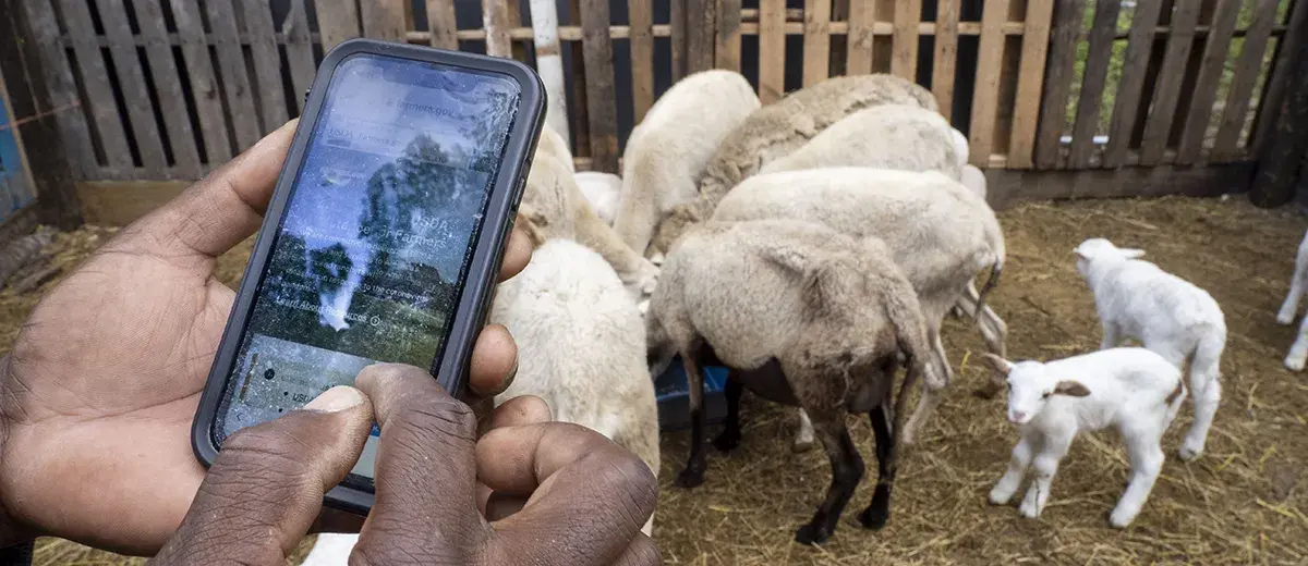 Farmer smartphone