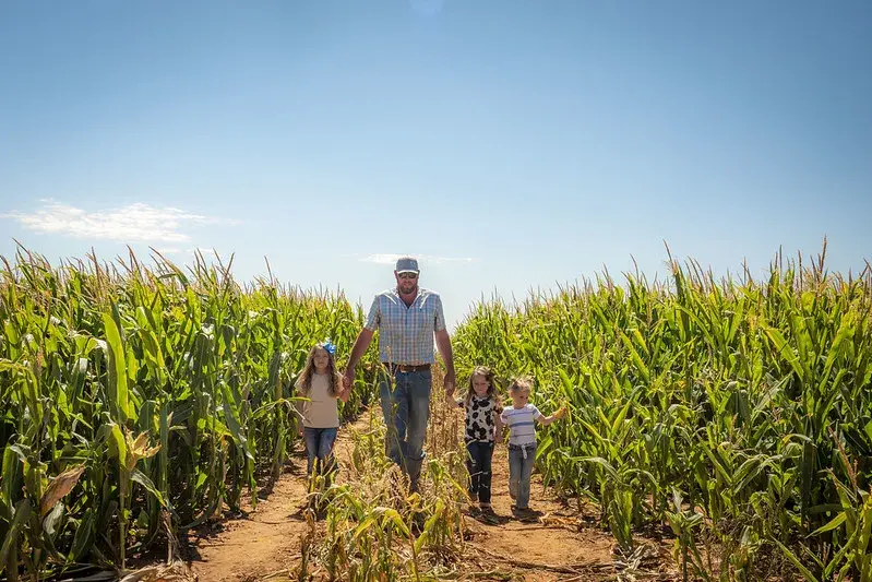 Looking ahead, FSA stands committed to ensuring the success of producers, the agency, and the sustainability of American agriculture.    