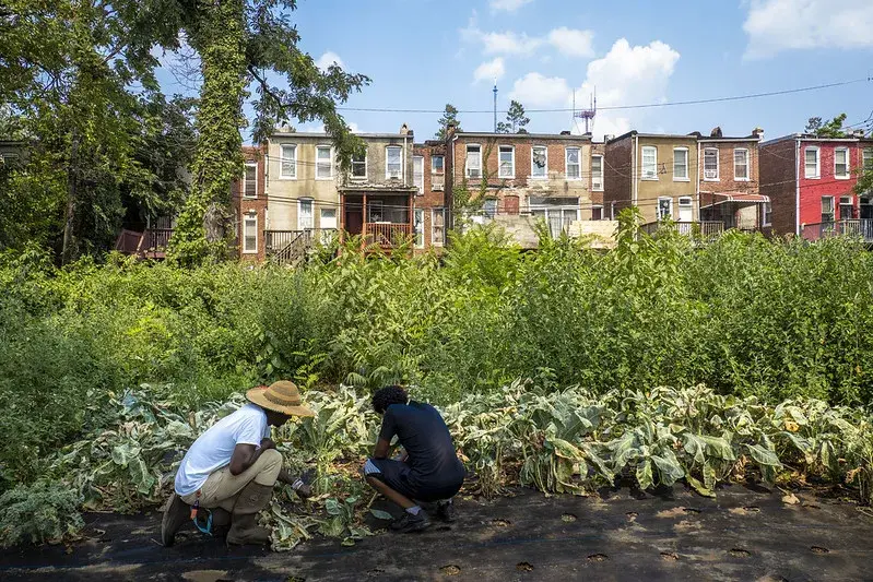 Updates to our acreage reporting software makes it easier for urban farmers participating in FSA programs. 